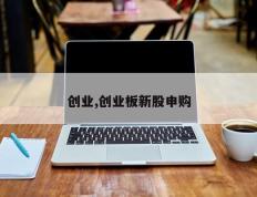 创业,创业板新股申购