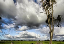 普通人创业风口行业分析，普通人创业风口行业分析怎么写