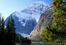 普通人创业风口行业分析，普通人创业风口行业分析怎么写