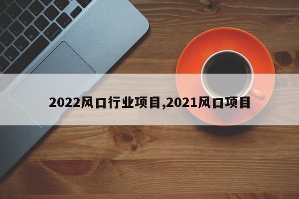 2022风口行业项目,2021风口项目